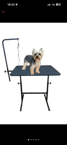 Mesa Regulável Para Tosa - Preta - Pet Shop Banho e Tosa NOVA
