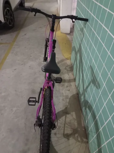 Bicicleta