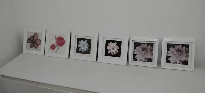 Quadros