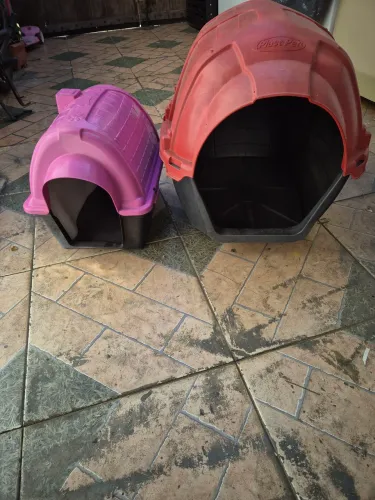 DUAS CASINHAS PARA CÃES (SOU DE SÃO MATEUS ZL)