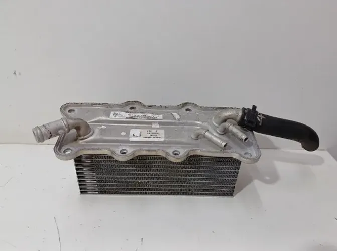 Resfriador Óleo Do Coletor Vw Polo Tsi 1.0 2020 04c129701a