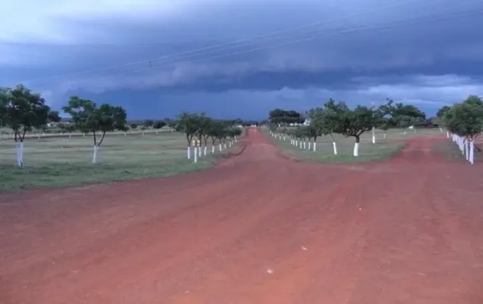 Fazenda de 173.680 mil Ha Santa Cruz dos Milagres - PI
