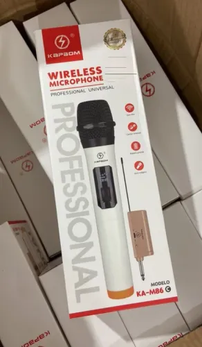 Microfone sem fio profissional 