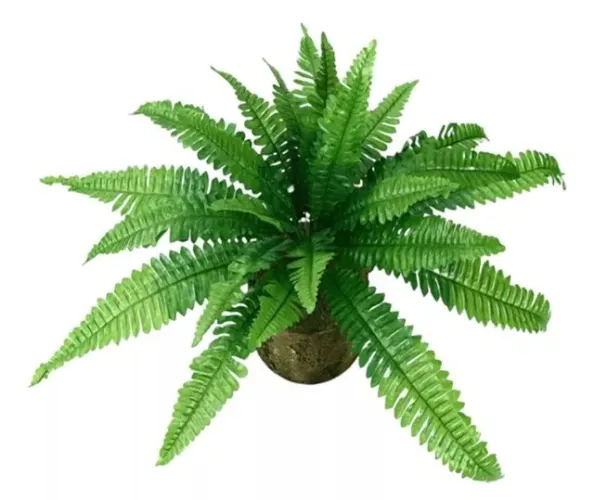 Samambaia Artificial 53 Cm Plantas Vaso Parede Folhagem * Parece Natural 