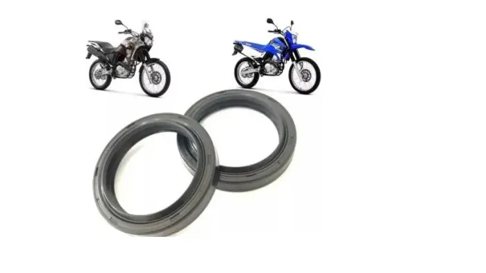  Par de Retentor da  Bengala 250 Lander 2018 +