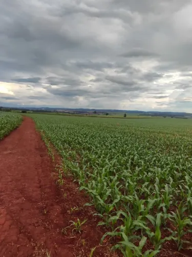 R$90 MilhõesFazenda de 333 alqueires em Itauçu-Go