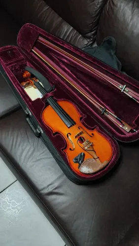 Violino Michael