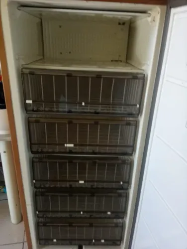 Freezer vários modelos a partir de
