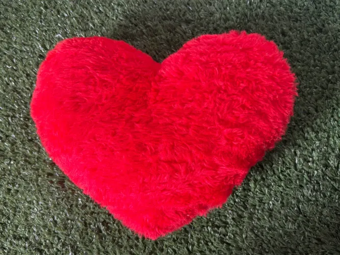 Coração Usado de Pelúcia Vermelho Claro Simples 18cmx26cm