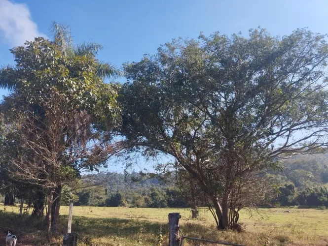 Fazenda dupla aptidão próximo campo florido 
