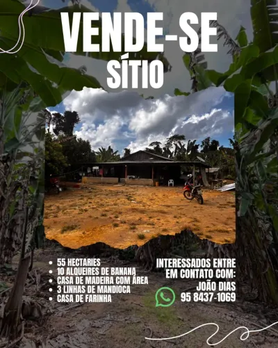 Sítio de 55 Hectares na Vicinal 03 - Caroebe/RR | 10 Alqueires de Banana e Casa de Farinha