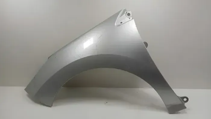 Paralama Dianteiro Esquerdo Peugeot 307 2007 Á 2012