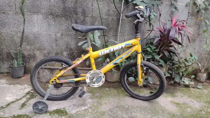 Bicicleta infantil
