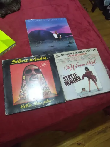 Discos vinil Steve Wonder 3 lps