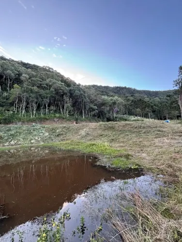 2 HECTARES COM LAGO
