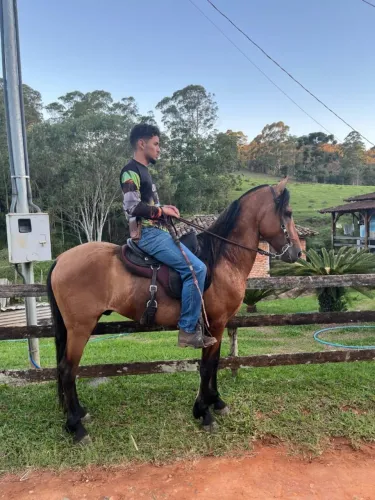 MANGALARGA MARCHADOR?