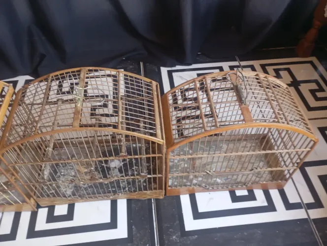Acessórios para criadores de pássaros