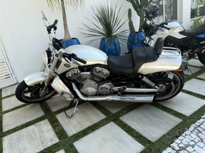 Harley-Davidson V-Rod 1250cc Muscle Vrscf 2009