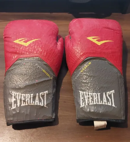 VENDO PAR DE LUVAS EVERLAST ORIGINAL