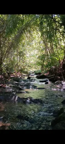 Fazenda riquíssima em água, município de Faina, há 8km de Lua Nova/Matrinchã -Go