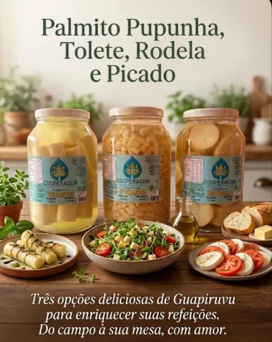 TOLETE Palmito PUPUNHA 3.15KG Cooperagua