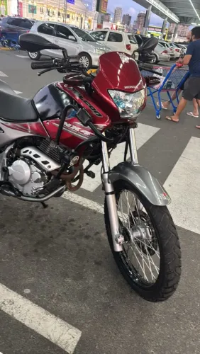 Falcon mx