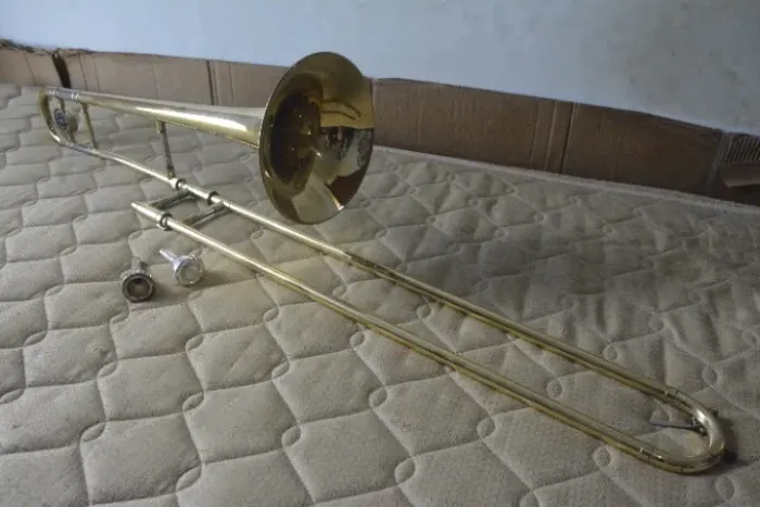 Trombone de vara Dolphin