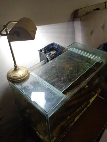 Aquário 70 litros completo