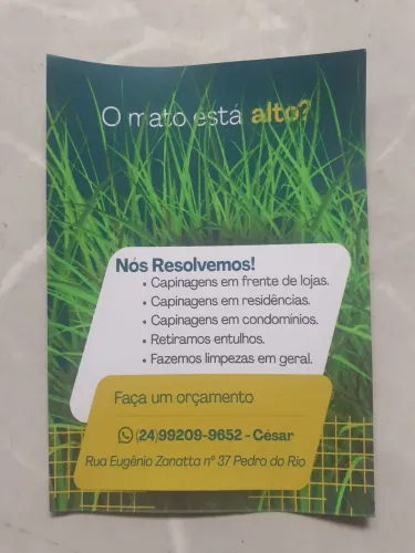 Serviços