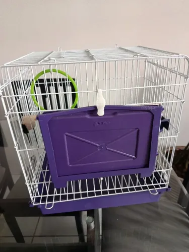 Gaiola para pássaros e calopsita