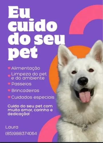 Creche e hospedagem para cães