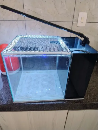 Aquário com sump traseiro