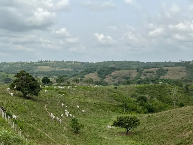 Imóvel para venda com 63 HECTARES - Serraria - PB