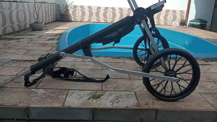Cadeira de roda para cachorro pet best