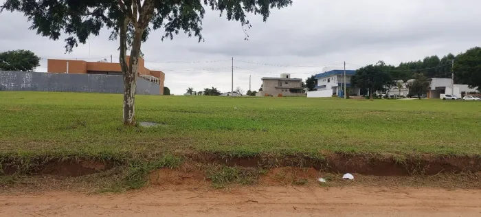 PARDINHO Nv II