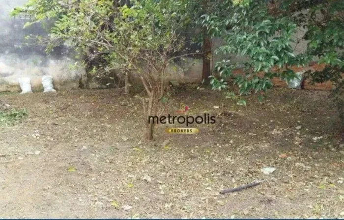Terreno à venda, 443 m² por R$ 821.000,00 - Nova Gerty - São Caetano do Sul/SP