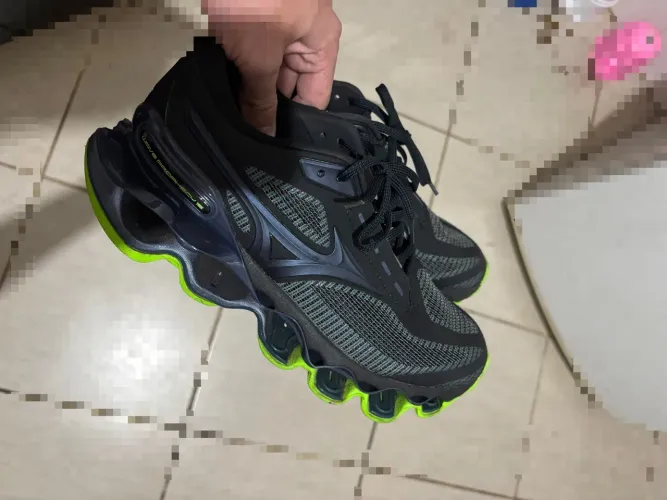 Mizuno prophecy 15
