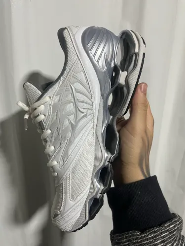 Mizuno prophecy LS original