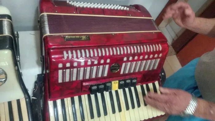 Sanfona acordeon
