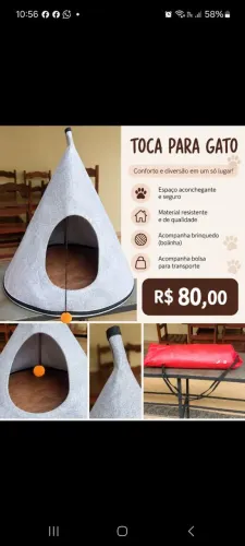 Toca para Gato Linda!
