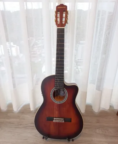 Violão nylon Waldman tampo maciço CLCEX1010 semi novo