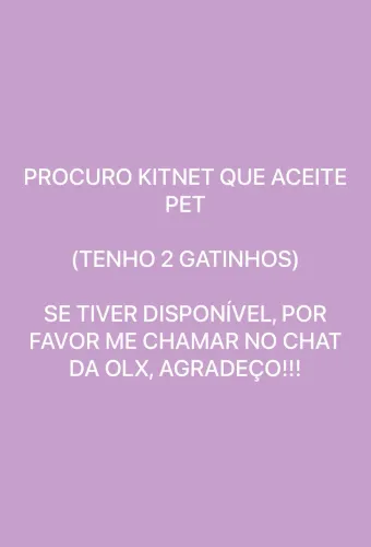 PROCURO KITNET QUE ACEITE 2 GATINHOS 