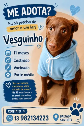 Adote Vesguinho