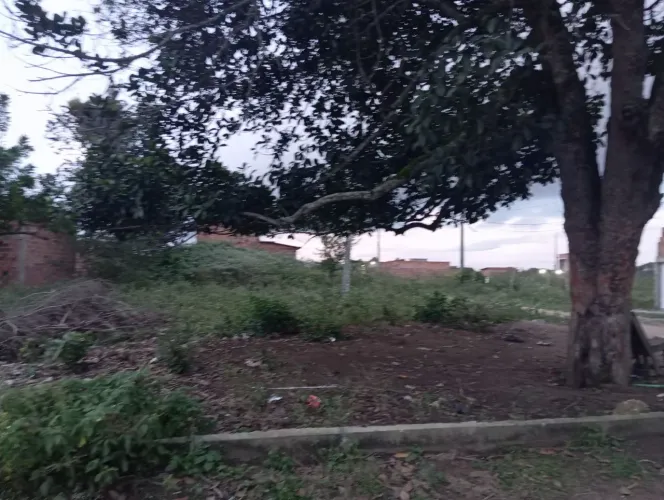 Troca -se um terreno no Parque da cidade por carro