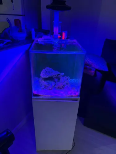 Aquário Cubo 35cm + sumo traseiro