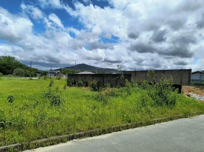 Lote guarda do tabuleiro 