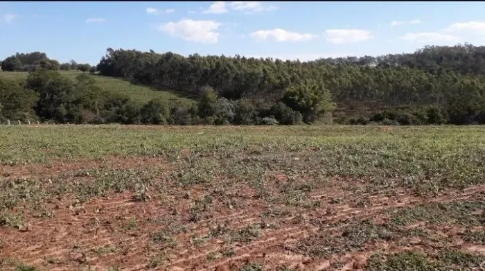 Chácara à venda, 20000 m² por R$ 1.500.000,00 - Presidente Castelo Branco - Presidente Cas