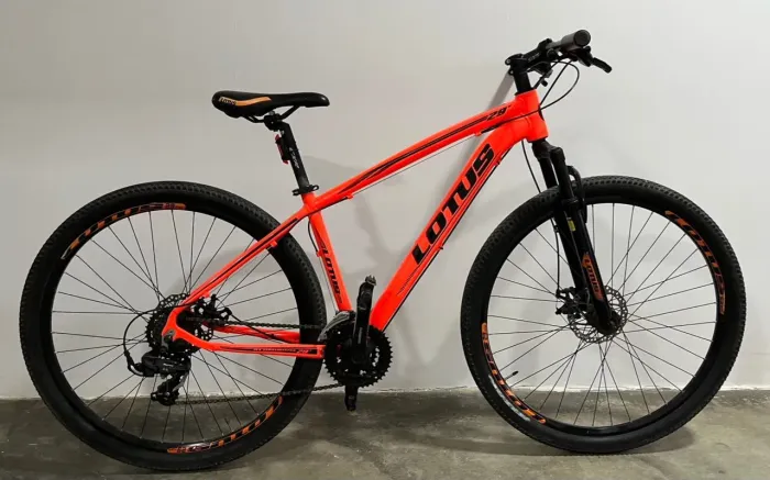 BICICLETA LOTUS ARO 29 ?