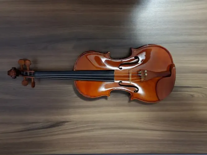 Violino Eagle VE441 4/4