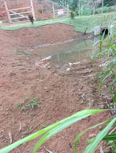Sitio5.000m²comunida holandinha...